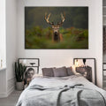 Curios Deer Amongst Ferns - Canvas Wall Art Painting