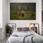 Curios Deer Amongst Ferns - Canvas Wall Art Painting