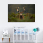 Curios Deer Amongst Ferns - Canvas Wall Art Painting