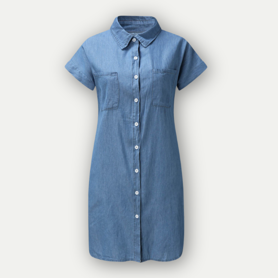 Sylis | Summery Denim Shirt Dress