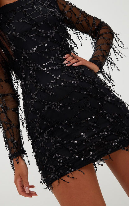 Sylis | Fringed sequin dress Elegant fashion