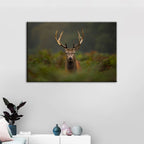 Curios Deer Amongst Ferns - Canvas Wall Art Painting