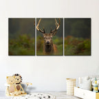 Curios Deer Amongst Ferns-Canvas Wall Art Painting 3 Pieces