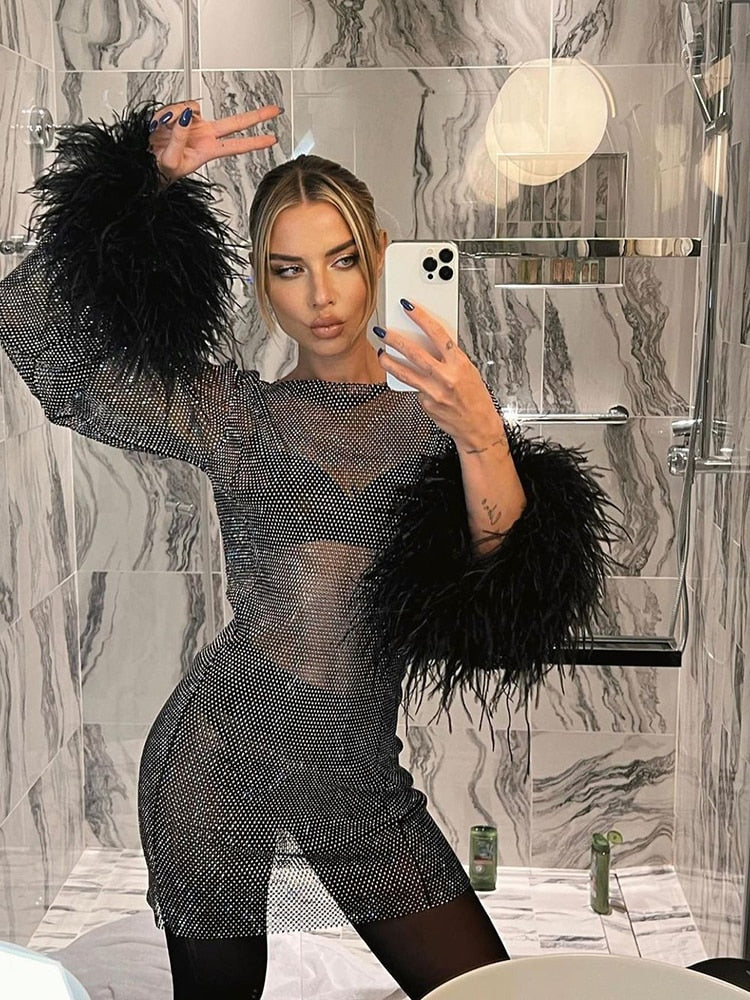 Sylis | Transparent party dress adorned with feathers