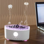 Ultrasonic Aroma Diffuser and Humidifier