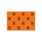 Elegant Monogrammed Bathroom Mat