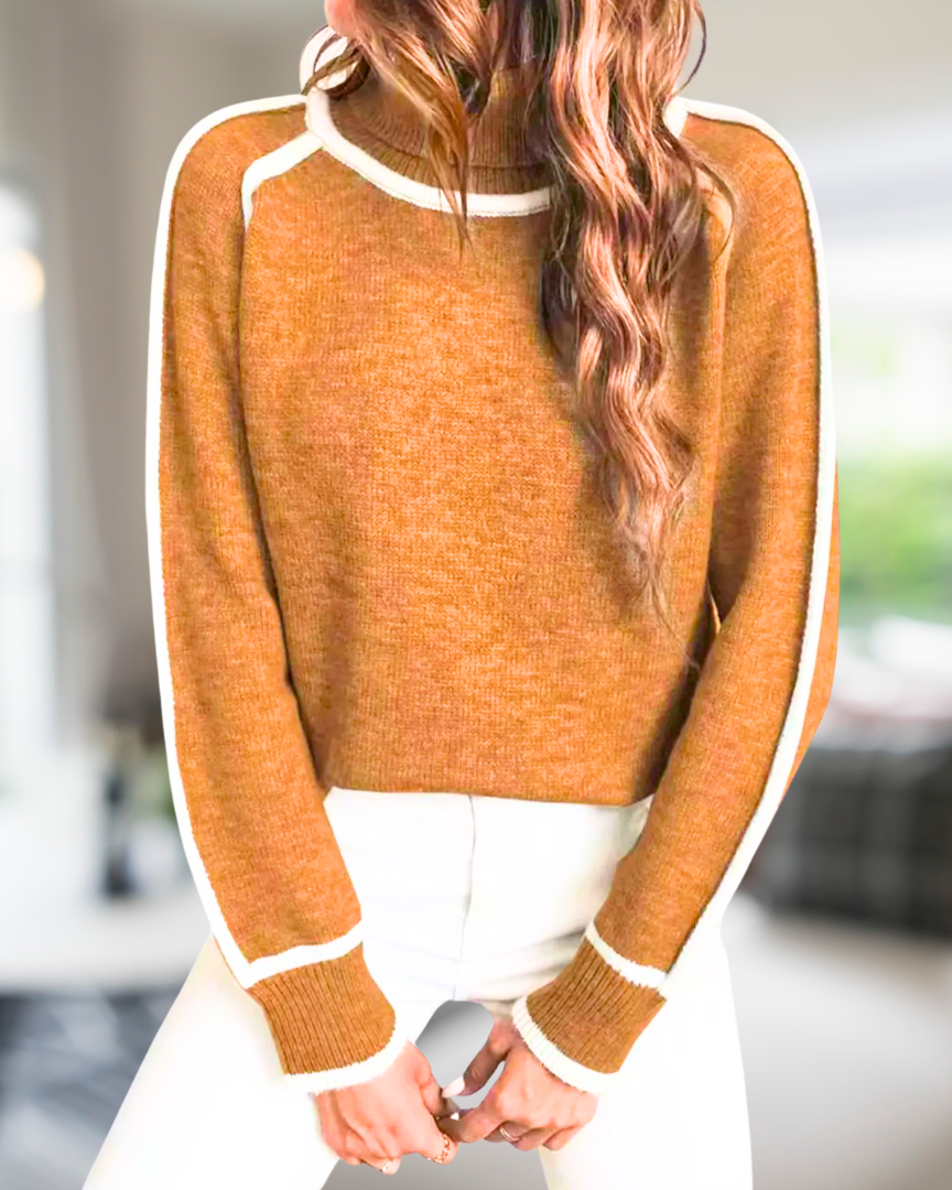 Sylis - Cozy Turtleneck Sweater