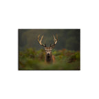 Curios Deer Amongst Ferns - Canvas Wall Art Painting