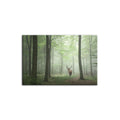 Misty Mystical Deer In The Woods - Canvas Wall Art Painting