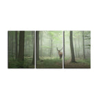 Misty Mystical Deer In The Woods-Canvas Wall Art Painting 3 Pieces