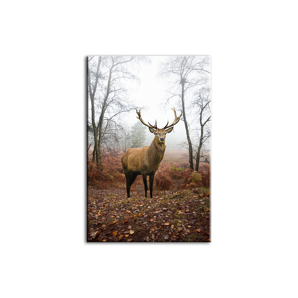 Misty Fall Deer - Canvas Wall Art Painting